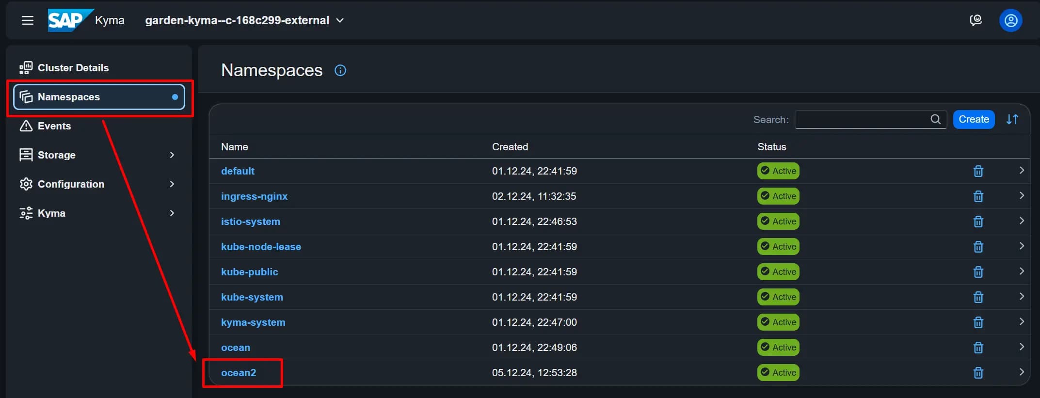 Kyma Dashboard - Enter Namespace