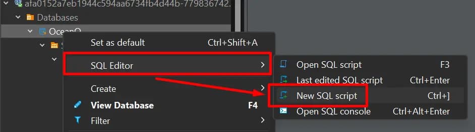 DBeaver - Create Connection to Remote DB - 05
